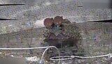 drone attacking russian buk m3 air defence system
