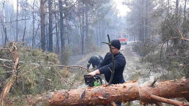 Пожежі в Овруцькому та Олевському районах Житомирщини локалізовано, одну - ліквідовано, - ДСНС 02