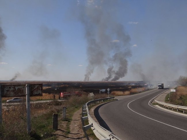 Национальный природный парк горел в Одесской области 04 Национальный природный парк горел в Одесской области 04