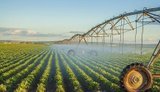 Уряд спростив механізм надання держпідтримки організаціям водокористувачів: що змінилося для аграріїв?