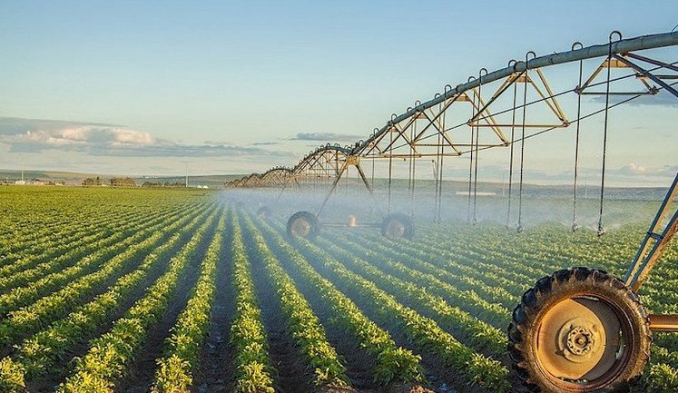 Уряд спростив механізм надання держпідтримки організаціям водокористувачів: що змінилося для аграріїв?