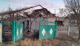 новоберислав