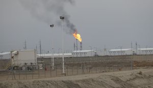 західна-курна-2