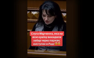 Марченко виступає в Раді