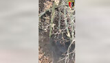 війна