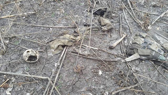 военные могила