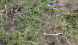 полонені