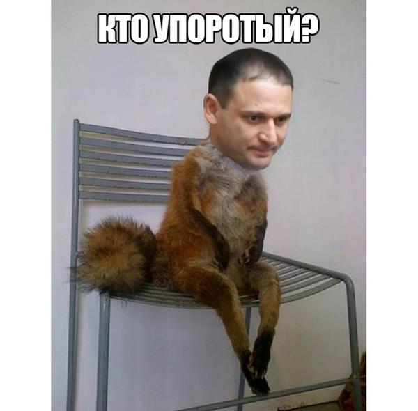 добкин