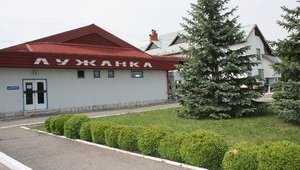 В очереди на украинско-венгерской границе собрались 350 автомобилей, - ГПСУ