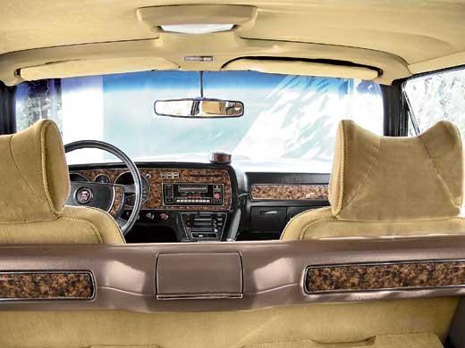 авто брежнев