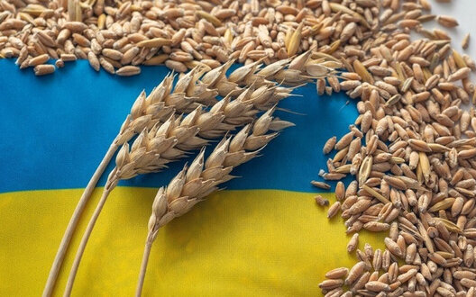 Запаси зерна в Україні на 50% перевищують минулорічні
