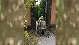 зустріч