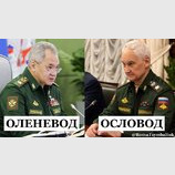 Спеціалісти по тваринам