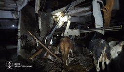 Обстріли Чернігівщини