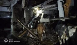 Shelling of the Chernihiv region