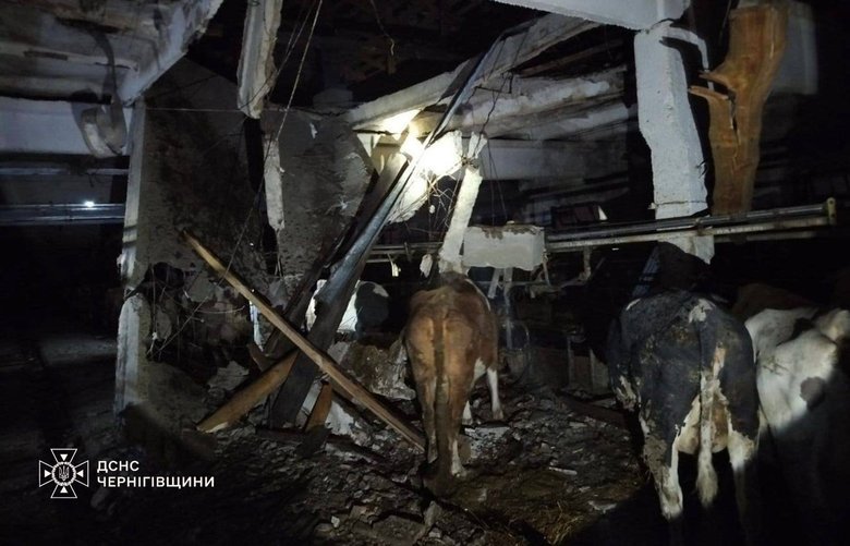 Обстріли Чернігівщини