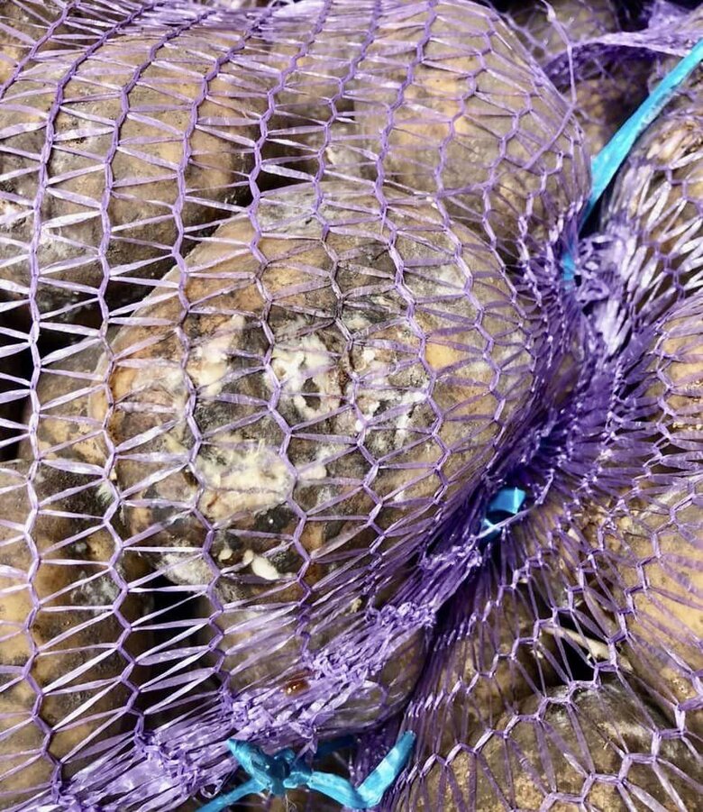Дотримання якості - одна із основних проблем в постачанні продуктів для військових