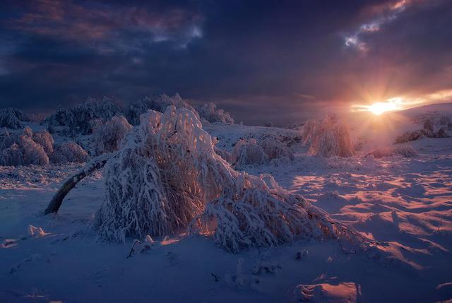 Цензор.НЕТ Изображение