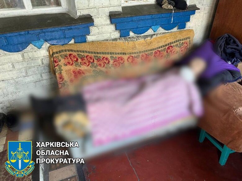 Consequences of shelling of Kozacha Lopan in Kharkiv region: Russians from tanks made about 20 hits 03