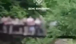 буковина,виженка,міст