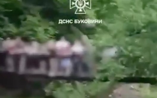 Дерев’яний підвісний міст із 30 дітьми обвалився на Буковині