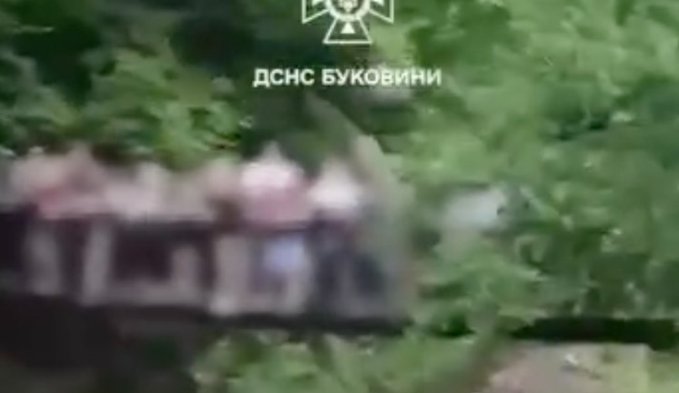Дерев’яний підвісний міст із 30 дітьми обвалився на Буковині: 6 школярів госпіталізовано. ВIДЕО