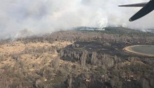 Пожар в Зоне отчуждения удалось потушить благодаря дождю (обновлено)