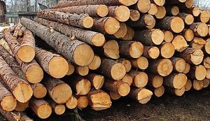 Налоговую просят проверить налоги деревообработчиков