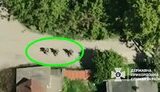 окупанти