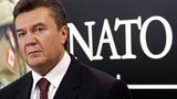 Янукович призывает руководство НАТО не рассматривать вопрос присоединения Украины к ПДЧ