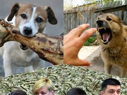 Патриоты ?