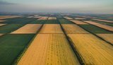 Країна готова до чесної розмови про продаж землі, - Порошенко