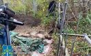 могила