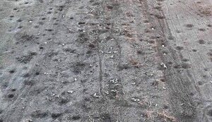 Feld near Bakhmut, strewn with corpses of Russian occupiers. PHOTOS