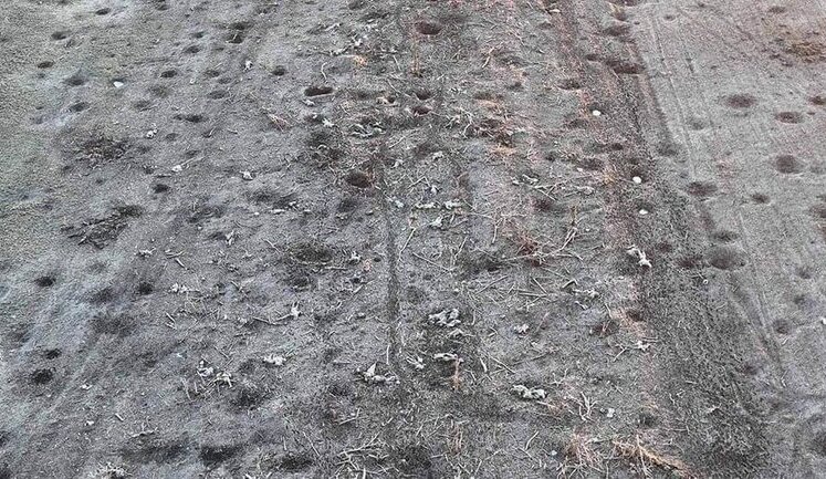 Feld near Bakhmut, strewn with corpses of Russian occupiers. PHOTOS