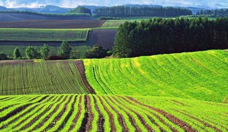 Дозволив незаконне використання танкового полігона фермерами: на Дніпропетровщині підозрюється чиновник, - ДБР. ВIДЕО