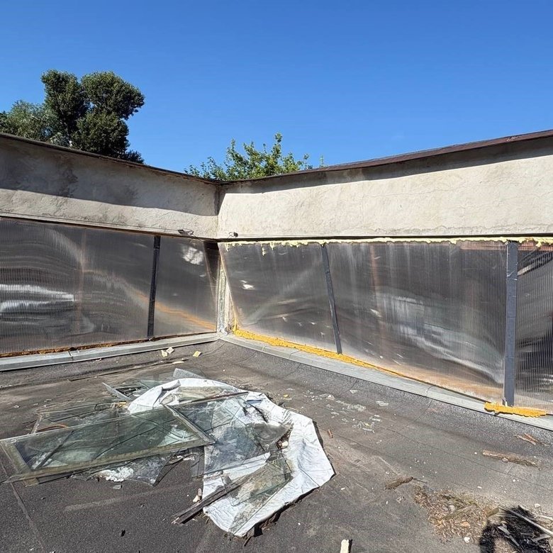 Animals injured at Kyiv Zoo: the aftermath of the Russian strikes