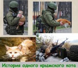 Месть будет жестока