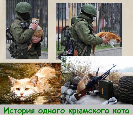 Месть будет жестока