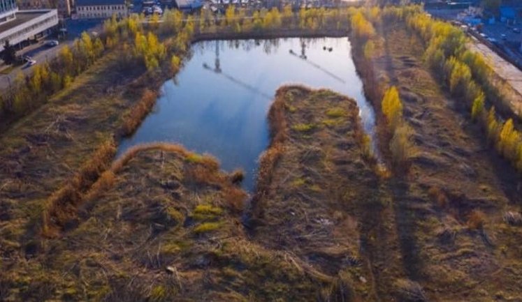 На ділянці біля "Олімпійської", де хотіли зробити парк, вирубали майже всі дерева: "Помріяли про "Централ-Парк"? Забудьте". ФОТО