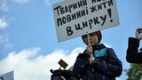 митинг цирк
