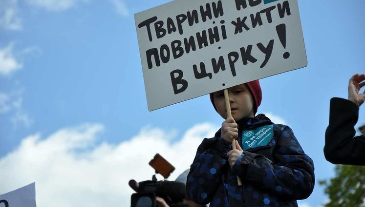 В Киевской области цирковой медведь набросился на зрителей, есть пострадавшие. ВИДЕО 18+