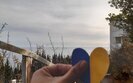 жовта,стрічка