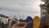 жовта,стрічка