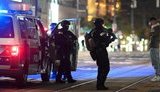 President Zelenskyi expresses condolences over terrorist attack in Vienna