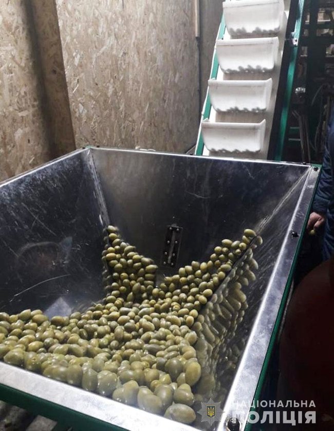 Подпольное производство фальсификата оливкового масла известных торговых марок ликвидировано в Киеве, - Нацполиция 04