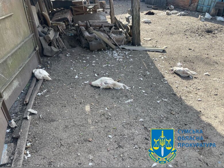 Consequences of the shelling of Sumy region