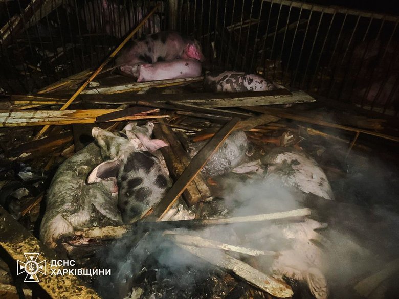 Нічна атака БпЛА на Харківщині: знищено ферму в Москалівці