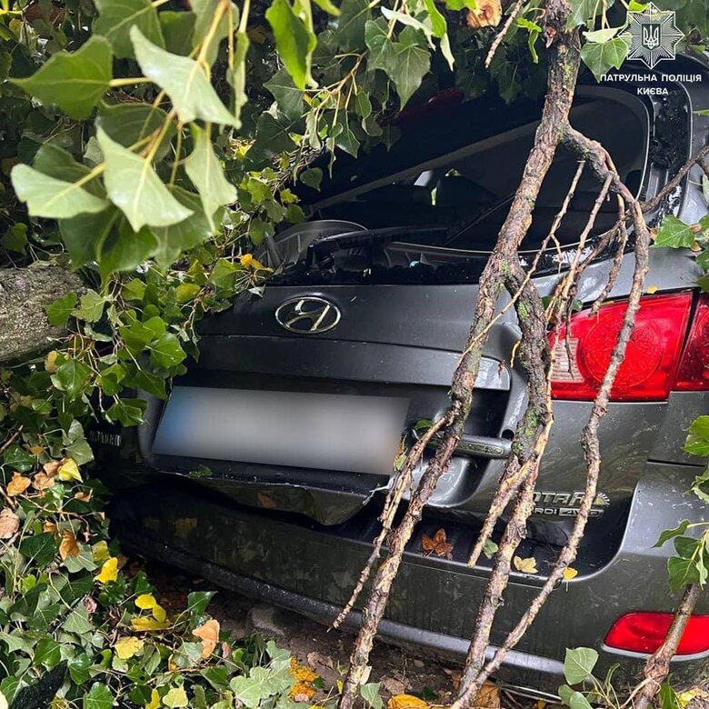 Наслідки негоди у Києві: 2 людини загинули, 3 травмовані, повалені дерева, обірвані проводи (оновлено) 02