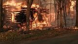 Вогонь на Житомирщині не розростається, ДСНС створила резерв сил на випадок ускладнень, - доповідь Зеленському